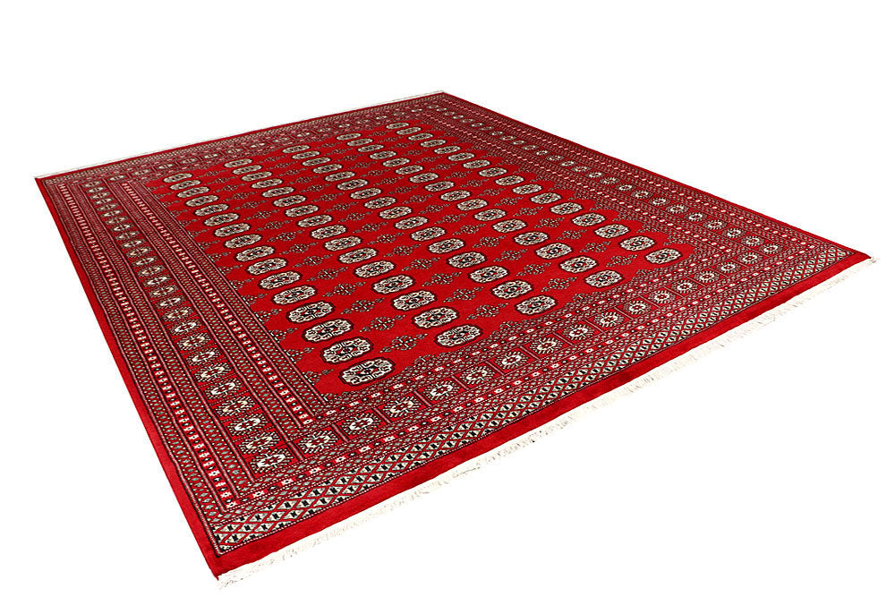 Firebrick Bokhara 8' 1 x 10' 4 - No. 59341 - ALRUG Rug Store