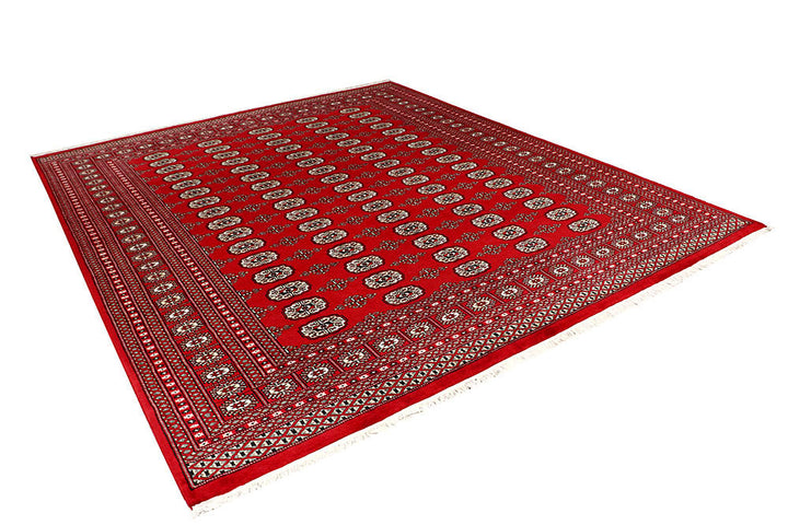 Firebrick Bokhara 8' 1 x 10' 4 - No. 59341 - ALRUG Rug Store