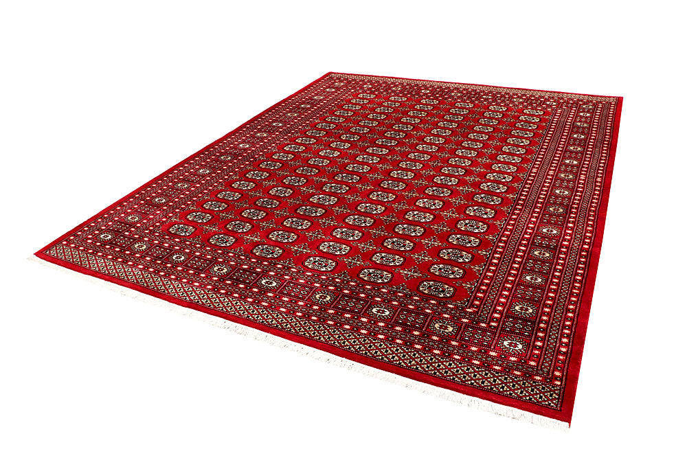 Firebrick Bokhara 7' 11 x 10' 2 - No. 59346 - ALRUG Rug Store