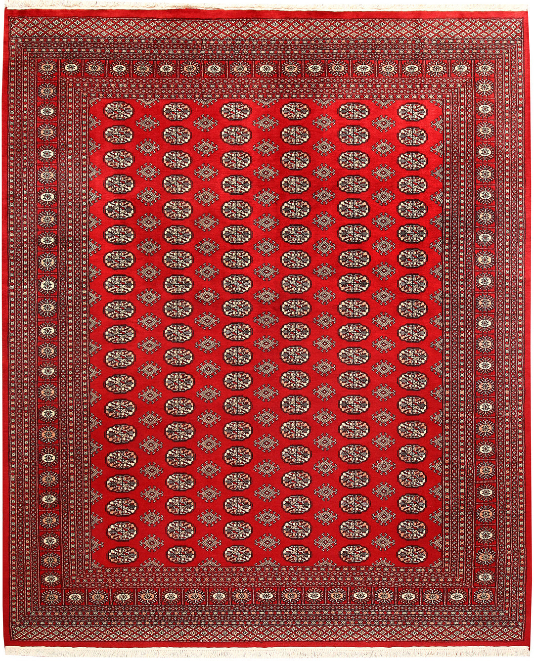 Firebrick Bokhara 7' 11 x 9' 7 - No. 59348 - ALRUG Rug Store