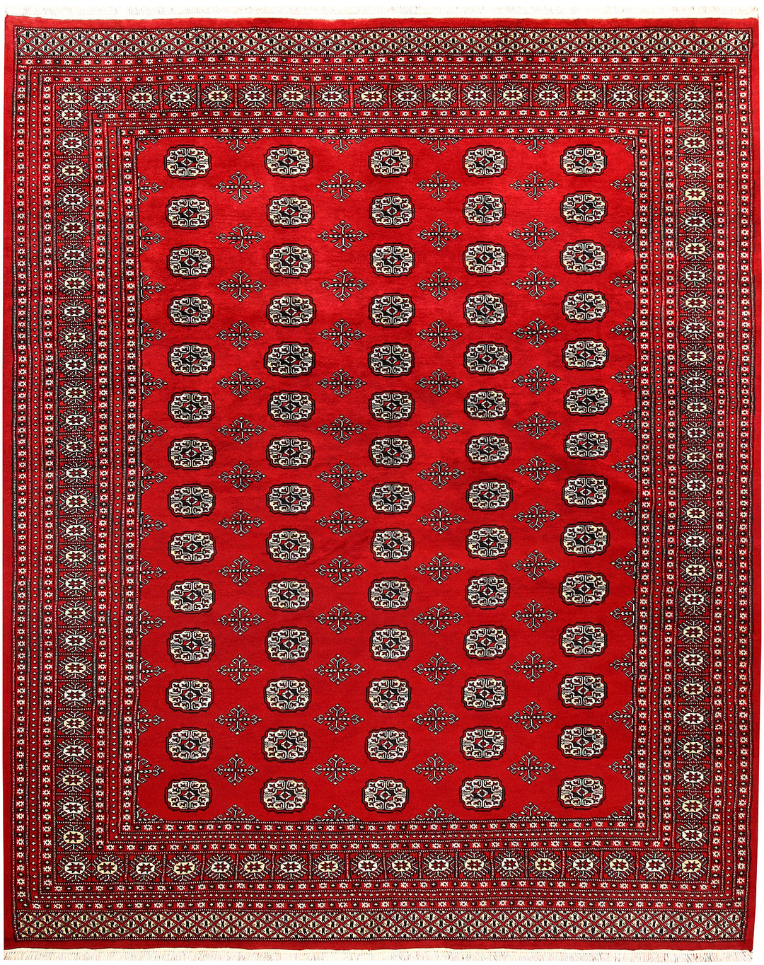 Firebrick Bokhara 7' 9 x 9' 9 - No. 59353 - ALRUG Rug Store