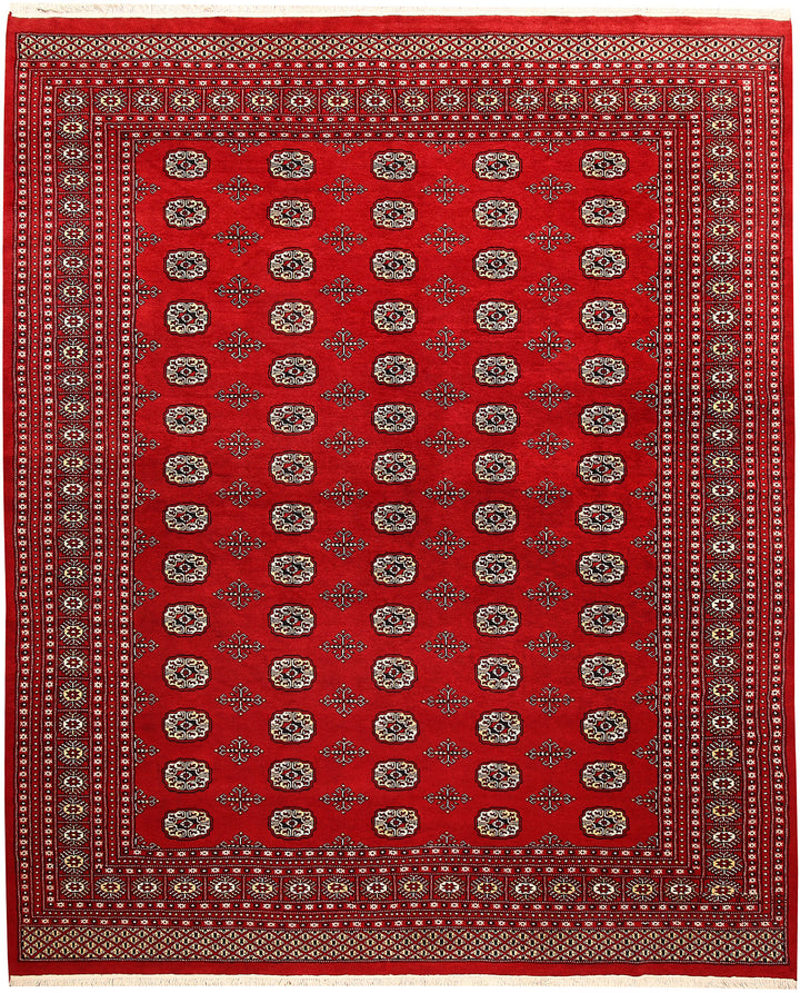 Firebrick Bokhara 8'  x" 9'  10" - No. QA70876