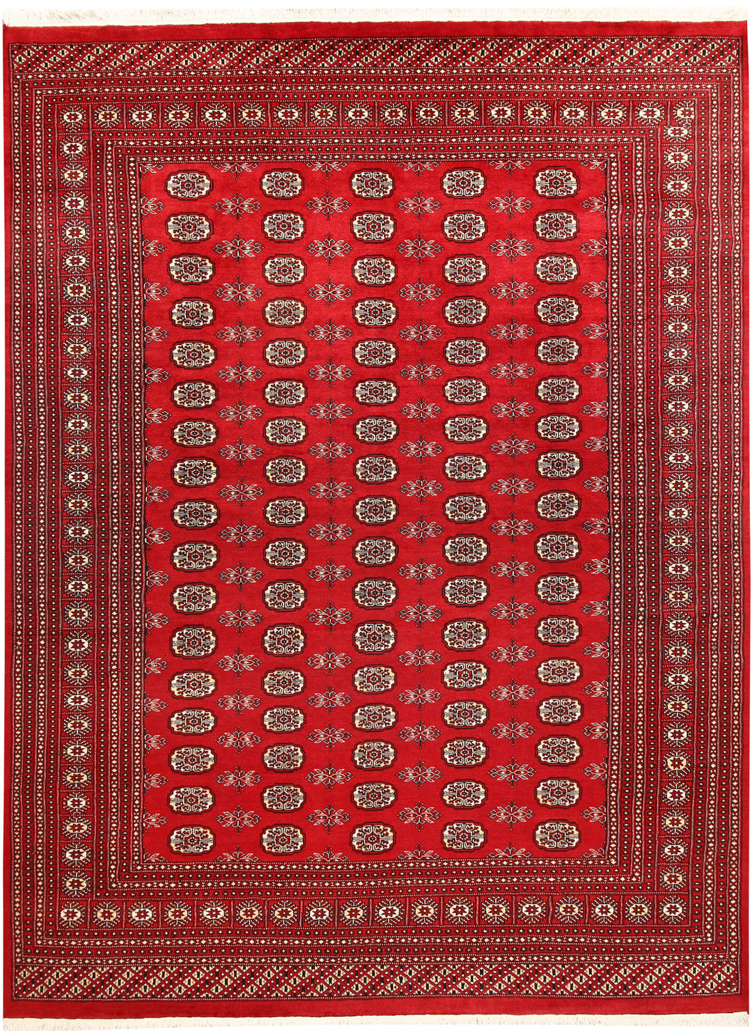 Firebrick Bokhara 7' 10 x 10' 7 - No. 59366 - ALRUG Rug Store