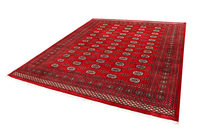 Firebrick Bokhara 8' 1 x 10' 1 - No. 59374 - ALRUG Rug Store