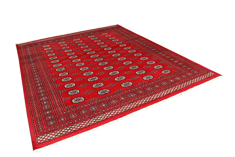 Firebrick Bokhara 8' 1 x 10' 1 - No. 59374 - ALRUG Rug Store