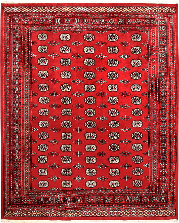 Firebrick Bokhara 8' 1 x 10' 1 - No. 59374 - ALRUG Rug Store