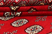 Red Bokhara 8' 2 x 9' 9 - No. 59378 - ALRUG Rug Store