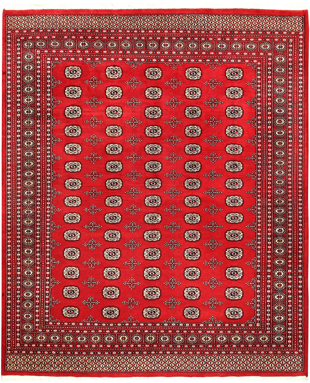 Red Bokhara 8' 2 x 9' 9 - No. 59378 - ALRUG Rug Store