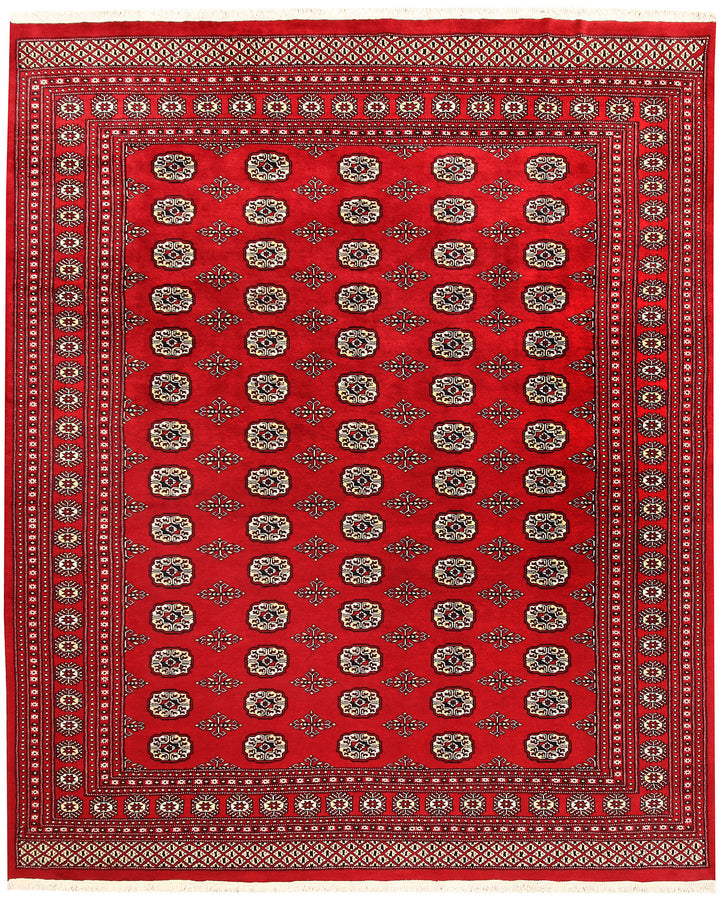 Firebrick Bokhara 8' x 9' 9 - No. 59379 - ALRUG Rug Store