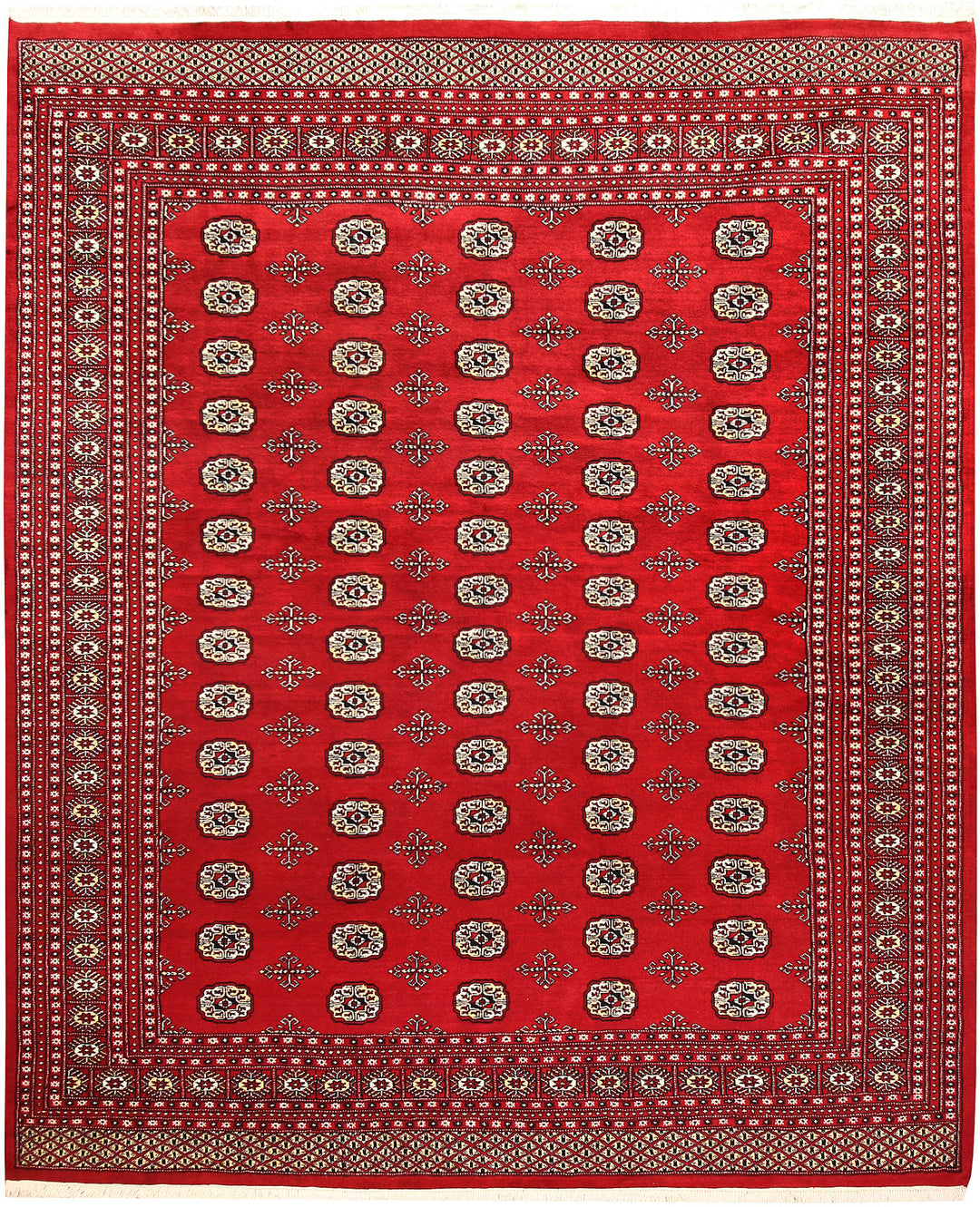 Firebrick Bokhara 8' 1 x 9' 9 - No. 59381 - ALRUG Rug Store