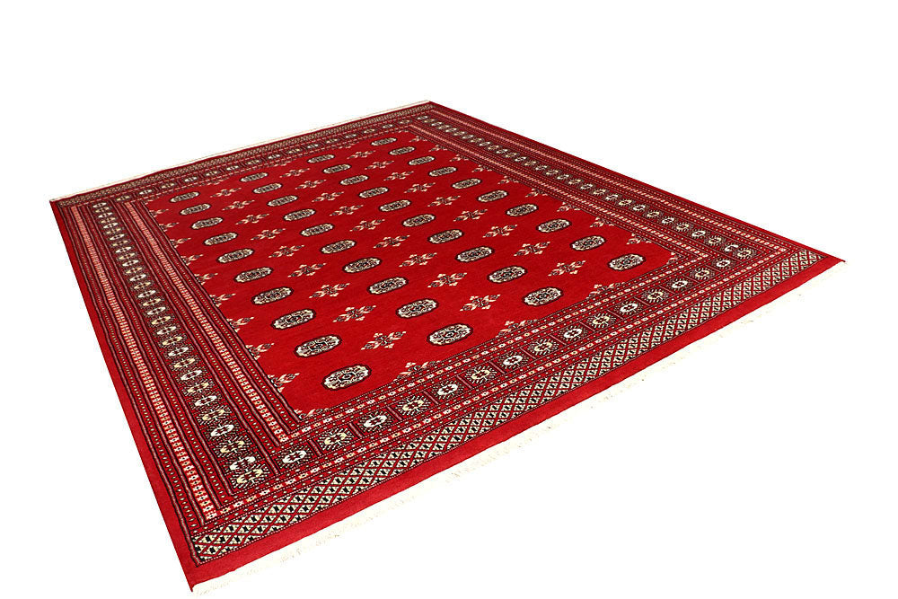 Firebrick Bokhara 8' 2 x 10' - No. 59395 - ALRUG Rug Store
