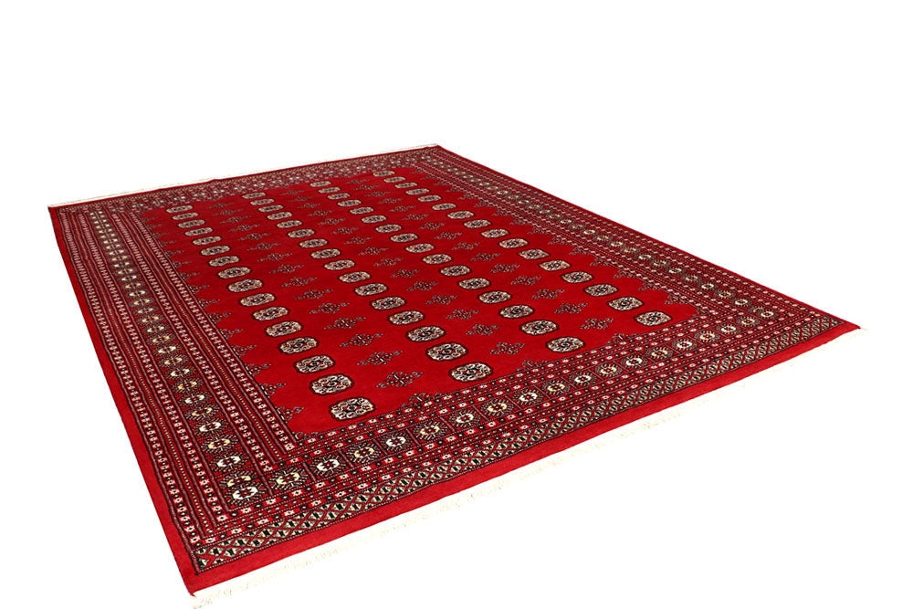 Firebrick Bokhara 8' 1 x 10' 1 - No. 59396 - ALRUG Rug Store