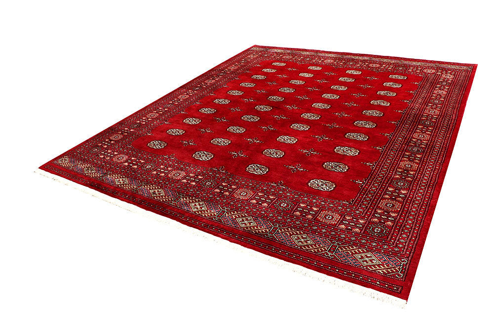 Firebrick Bokhara 7' 10 x 9' 8 - No. 59400 - ALRUG Rug Store