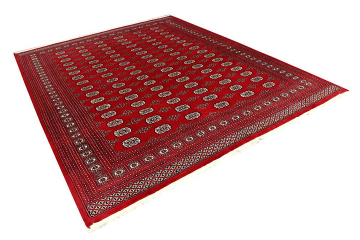Bokhara 8' 1 x 10' 2 - No. 59401 - ALRUG Rug Store