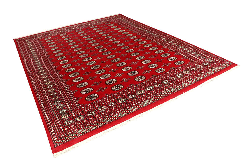 Firebrick Bokhara 7' 11 x 10' - No. 59407 - ALRUG Rug Store
