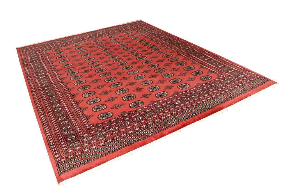 Salmon Bokhara 8' x 10' 2 - No. 59417 - ALRUG Rug Store