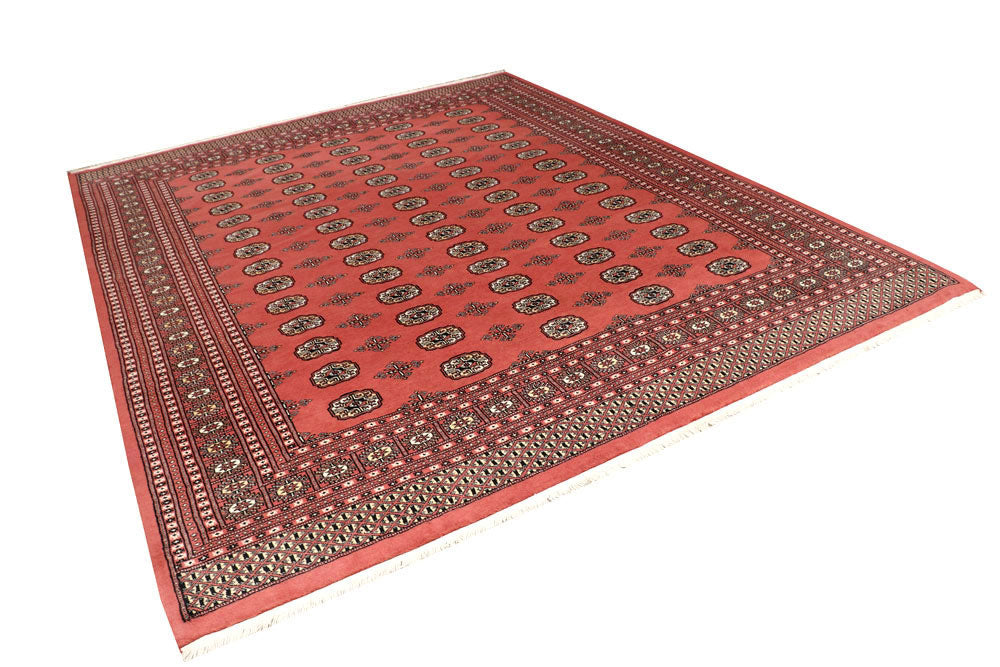 Salmon Bokhara 8' 2 x 10' 1 - No. 59419 - ALRUG Rug Store