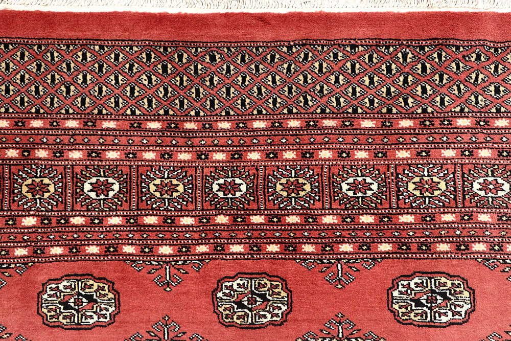Salmon Bokhara 7' 10 x 9' 11 - No. 59422 - ALRUG Rug Store