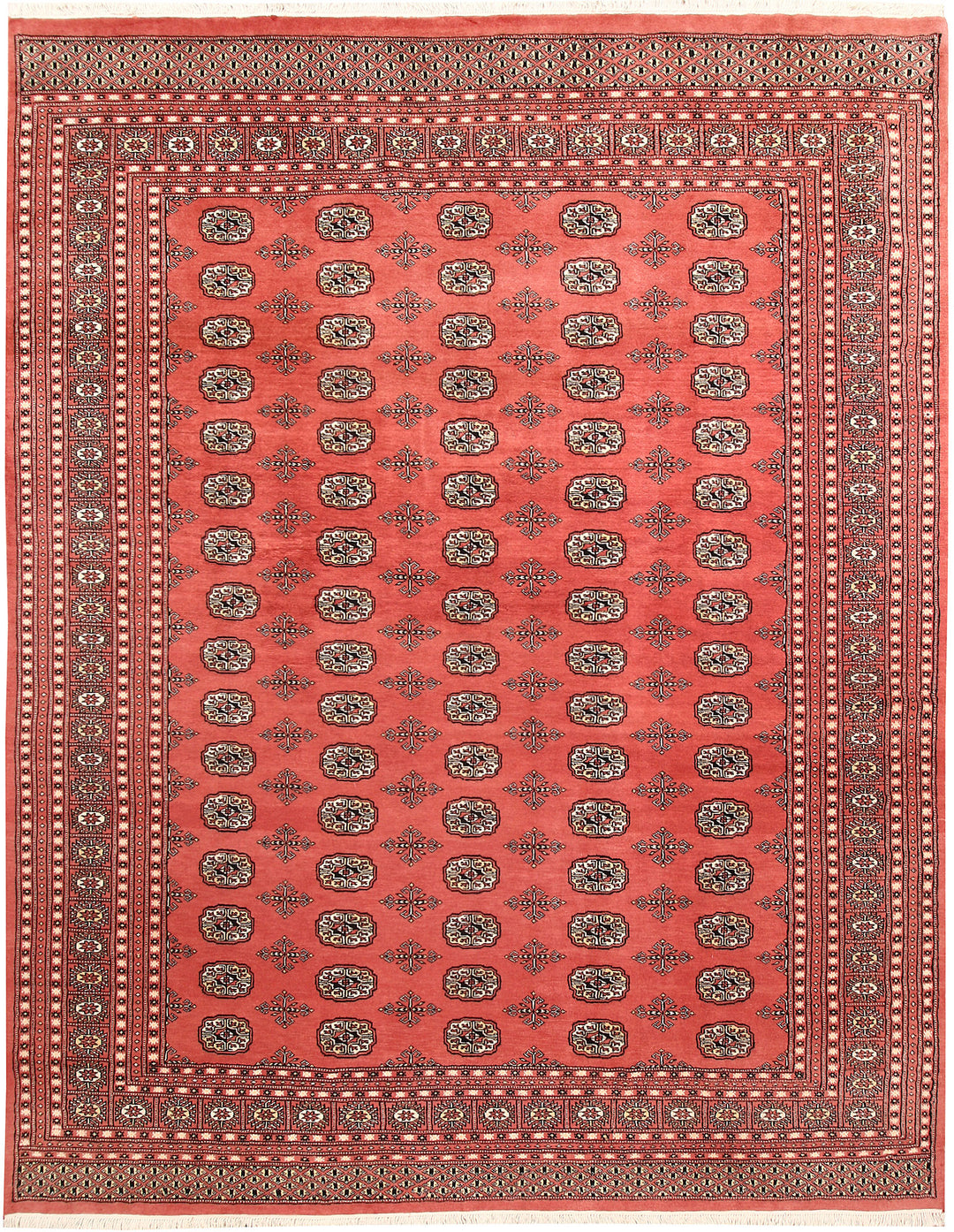 Salmon Bokhara 7' 10 x 9' 11 - No. 59422 - ALRUG Rug Store