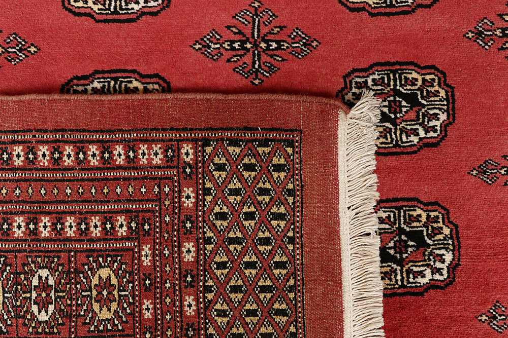 Salmon Bokhara 8' 4 x 10' 5 - No. 59423 - ALRUG Rug Store