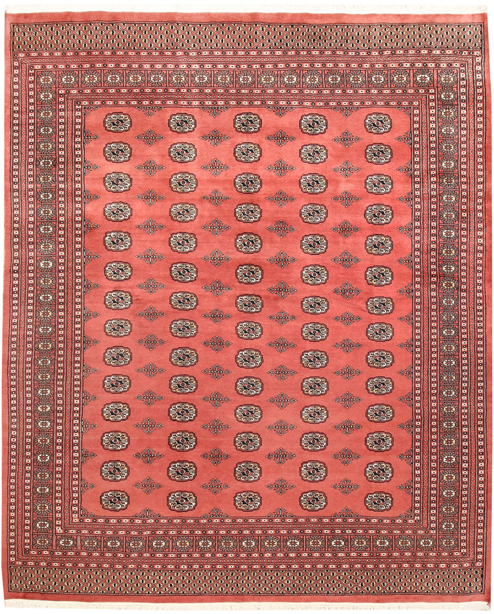 Salmon Bokhara 8' 2 x 9' 10 - No. 59425 - ALRUG Rug Store