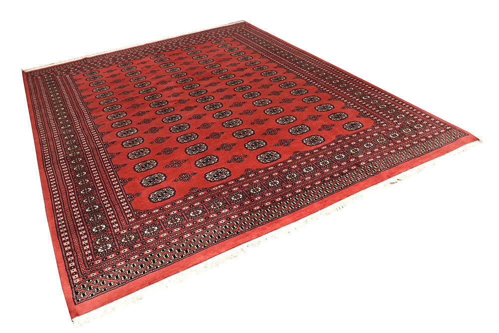 Salmon Bokhara 8' 1 x 10' 2 - No. 59428 - ALRUG Rug Store