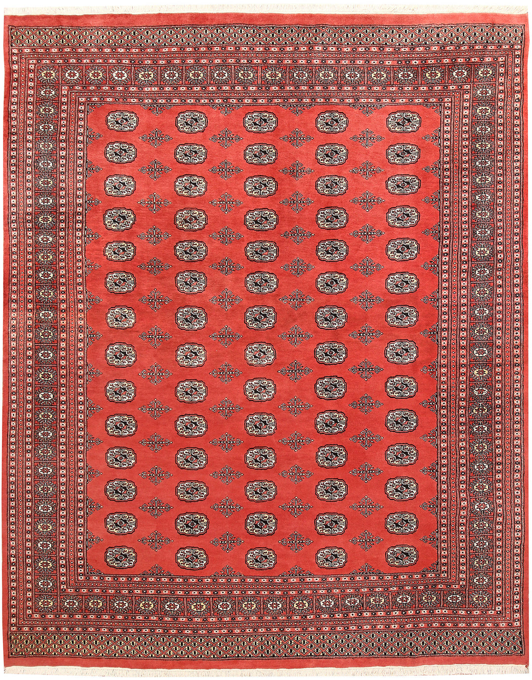 Salmon Bokhara 8' x 9' 11 - No. 59429 - ALRUG Rug Store