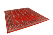 Orange Red Bokhara 8' 1 x 9' 5 - No. 59435 - ALRUG Rug Store