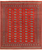 Orange Red Bokhara 8' 1 x 9' 5 - No. 59435 - ALRUG Rug Store