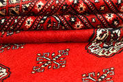 Firebrick Bokhara 8' 2 x 10' 2 - No. 59437 - ALRUG Rug Store