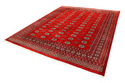 Firebrick Bokhara 8' 2 x 10' 2 - No. 59437 - ALRUG Rug Store
