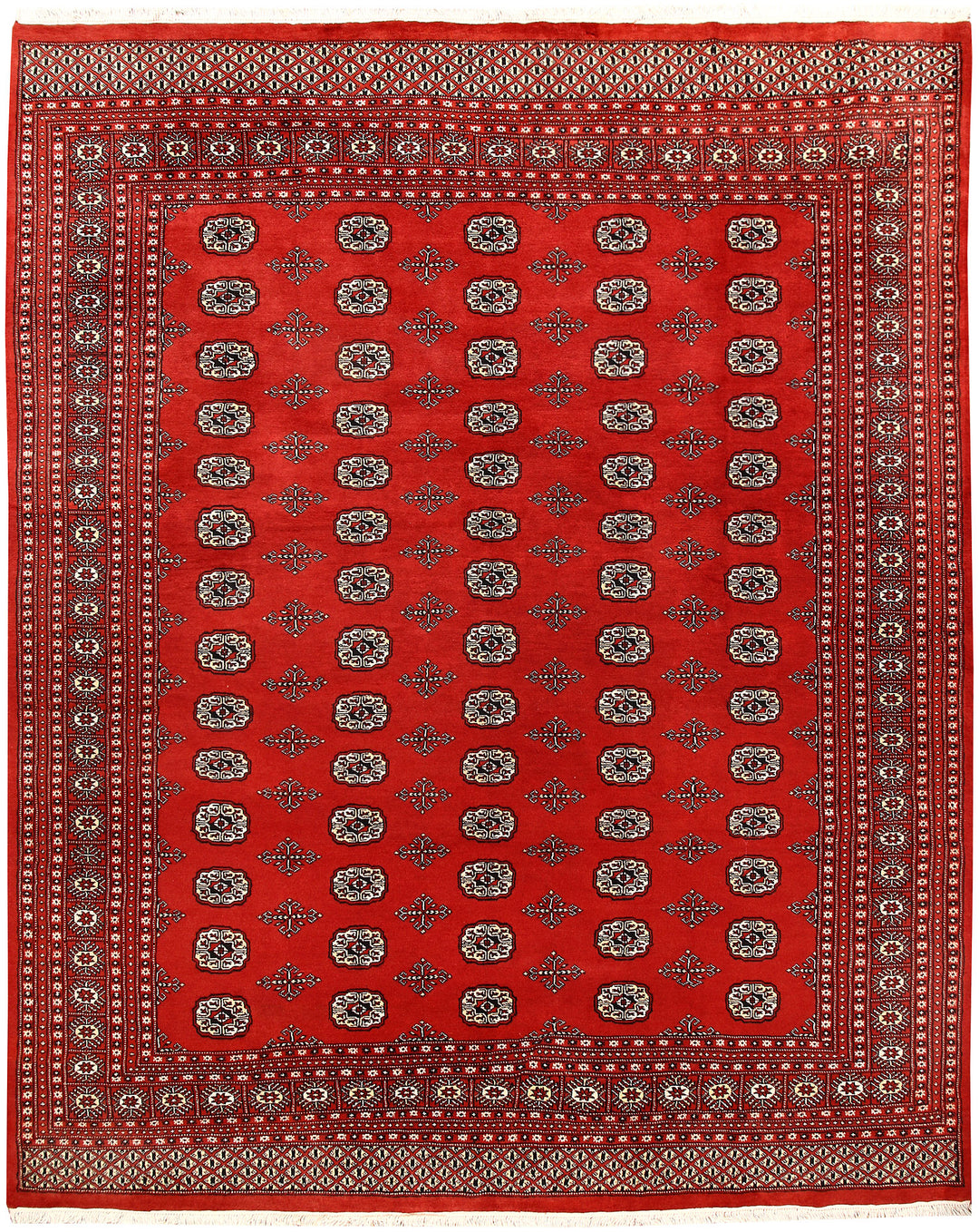 Firebrick Bokhara 8' 2 x 10' 2 - No. 59437 - ALRUG Rug Store