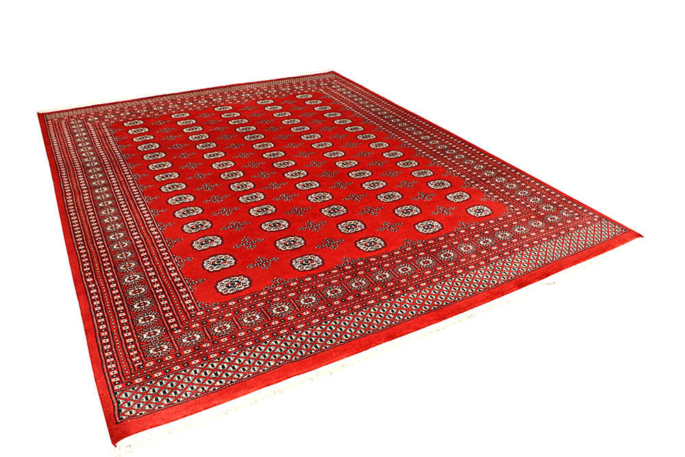 Firebrick Bokhara 8' 2 x 10' 3 - No. 59438 - ALRUG Rug Store