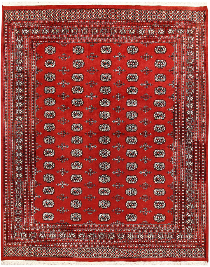 Firebrick Bokhara 8' 2 x 10' 3 - No. 59438 - ALRUG Rug Store