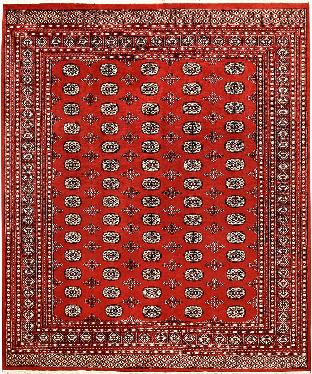 Firebrick Bokhara 8' 2 x 9' 9 - No. 59440 - ALRUG Rug Store