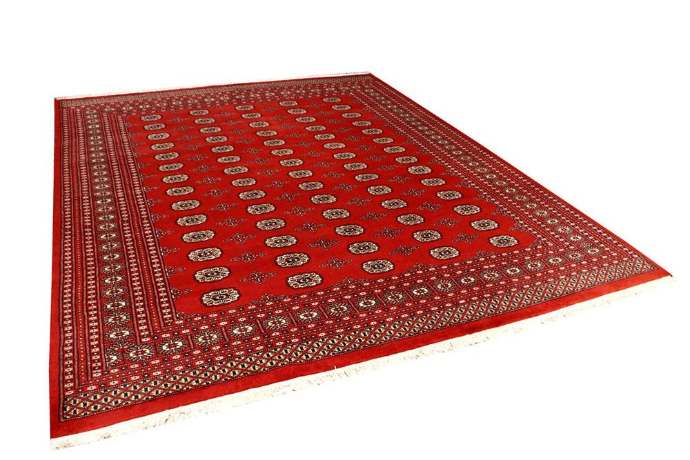 Bokhara 8' 4 x 10' 3 - No. 59443 - ALRUG Rug Store
