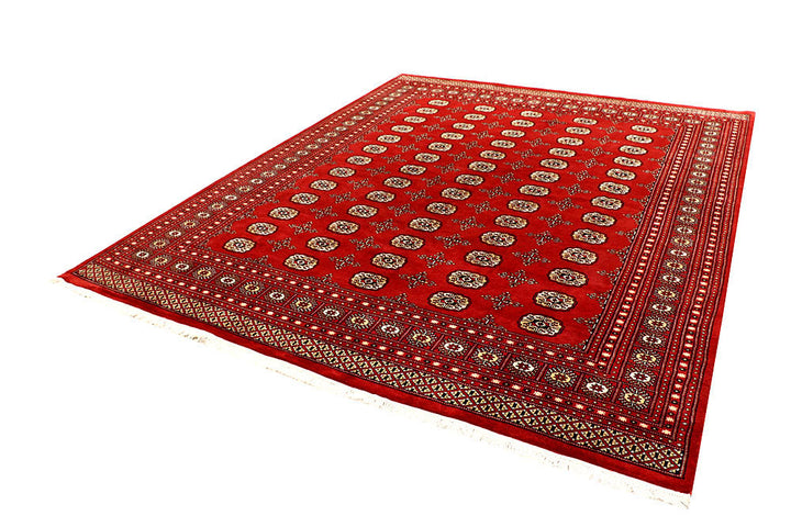 Firebrick Bokhara 8' 1 x 10' 2 - No. 59445 - ALRUG Rug Store