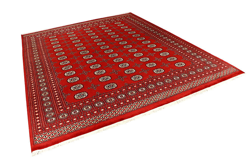 Firebrick Bokhara 8' 1 x 10' 2 - No. 59445 - ALRUG Rug Store