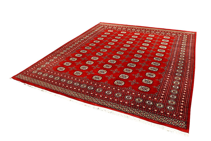 Firebrick Bokhara 8' 2 x 9' 8 - No. 59446 - ALRUG Rug Store