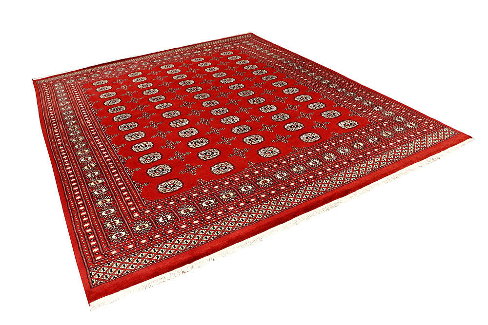 Firebrick Bokhara 8' 2 x 9' 8 - No. 59446 - ALRUG Rug Store