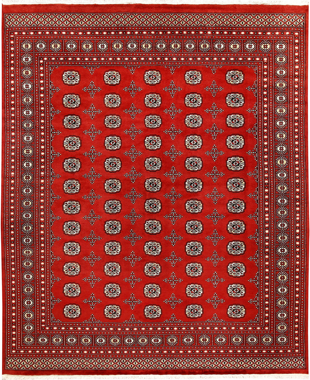 Firebrick Bokhara 8' 2 x 9' 8 - No. 59446 - ALRUG Rug Store