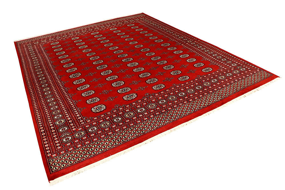 Firebrick Bokhara 8' 1 x 9' 11 - No. 59448 - ALRUG Rug Store