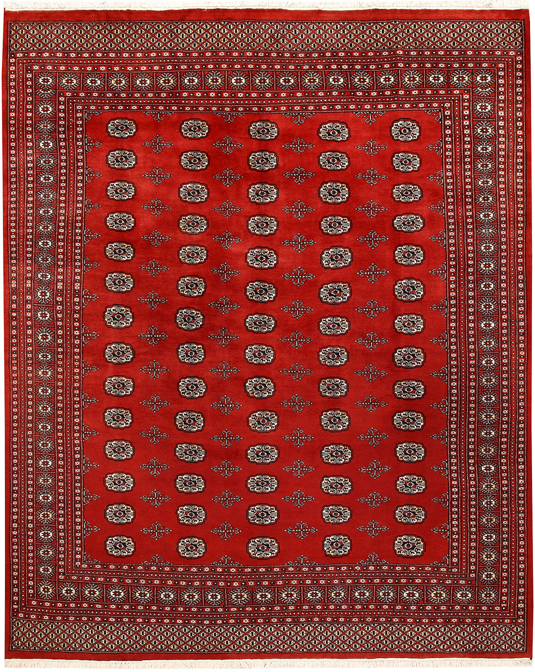 Firebrick Bokhara 8' 1 x 9' 11 - No. 59448 - ALRUG Rug Store