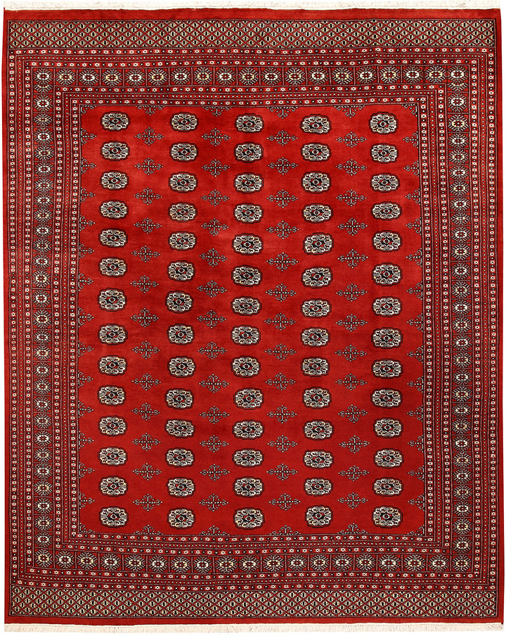 Firebrick Bokhara 8' 1 x 9' 11 - No. 59448 - ALRUG Rug Store