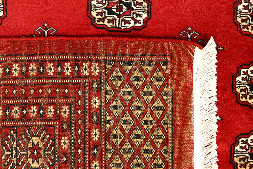 Firebrick Bokhara 8' 3 x 10' 4 - No. 59449 - ALRUG Rug Store