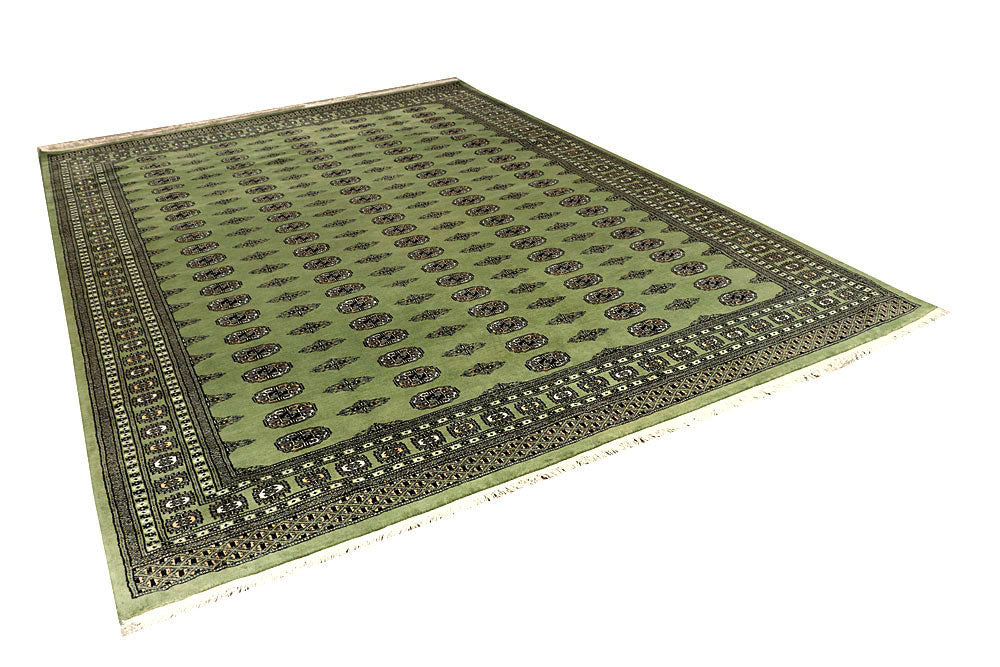 Olive Bokhara 8' 3 x 11' 9 - No. 59479 - ALRUG Rug Store