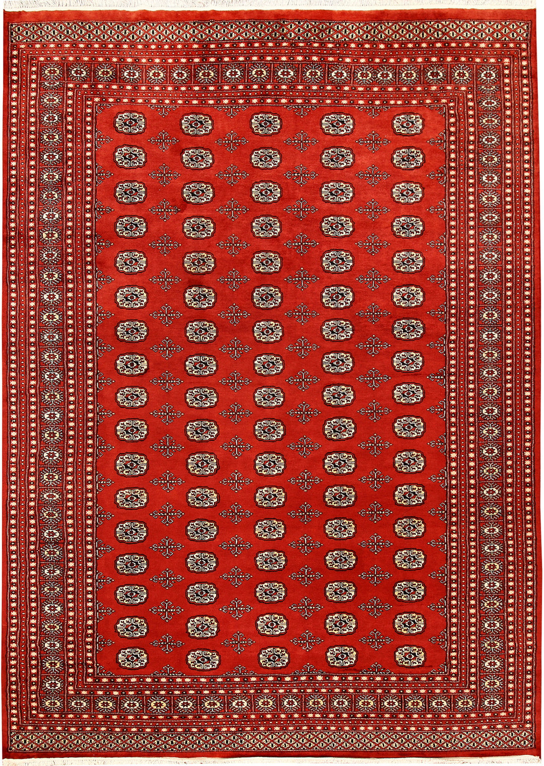 Orange Red Bokhara 7' 11 x 11' 1 - No. 59490 - ALRUG Rug Store