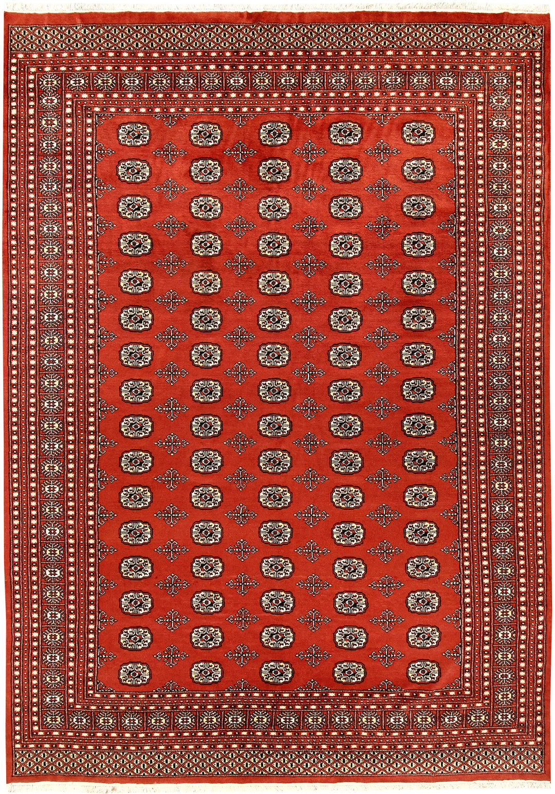 Orange Red Bokhara 8' x 11' 1 - No. 59492 - ALRUG Rug Store
