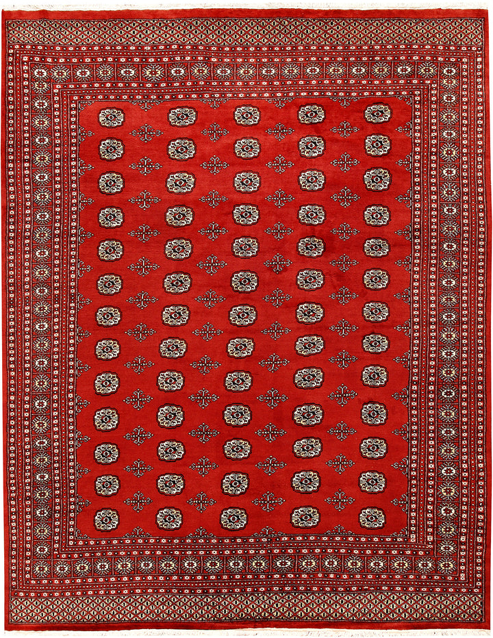 Firebrick Bokhara 8' 2 x 10' 10 - No. 59493 - ALRUG Rug Store