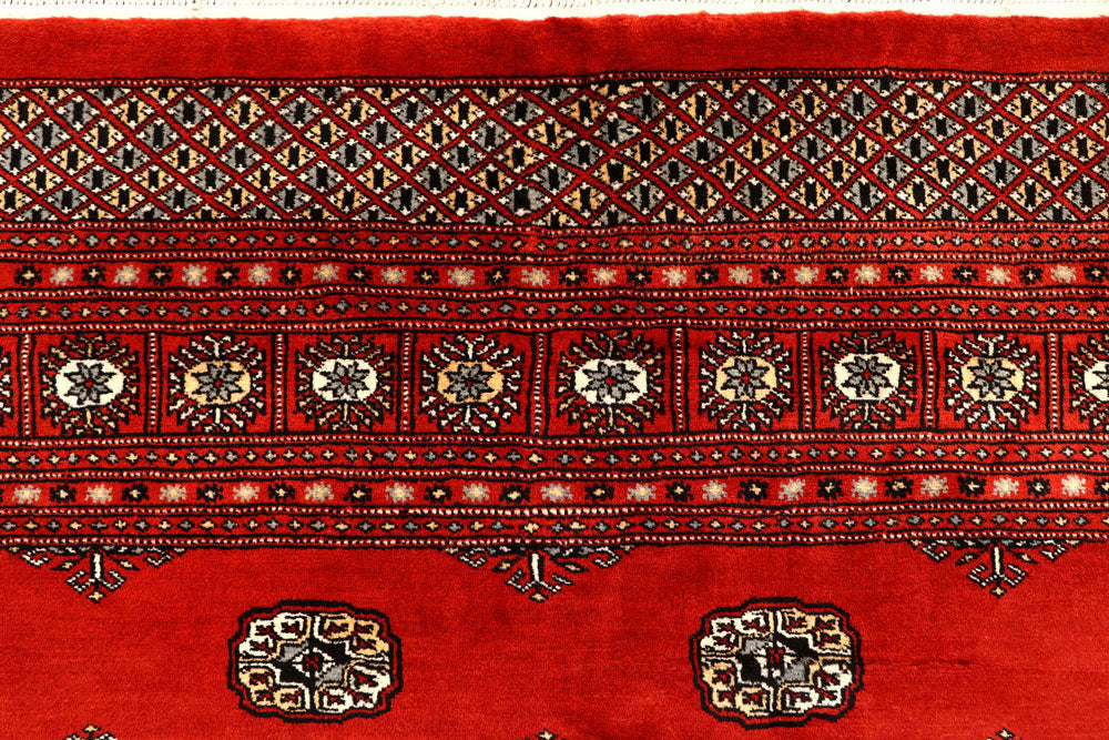 Orange Red Bokhara 8' 1 x 11' 7 - No. 59494 - ALRUG Rug Store